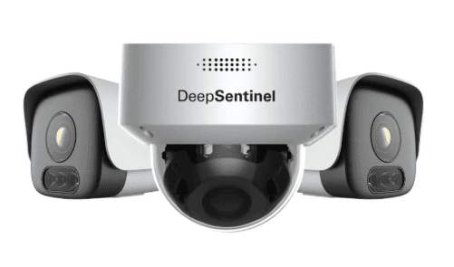 Deep Sentinel
